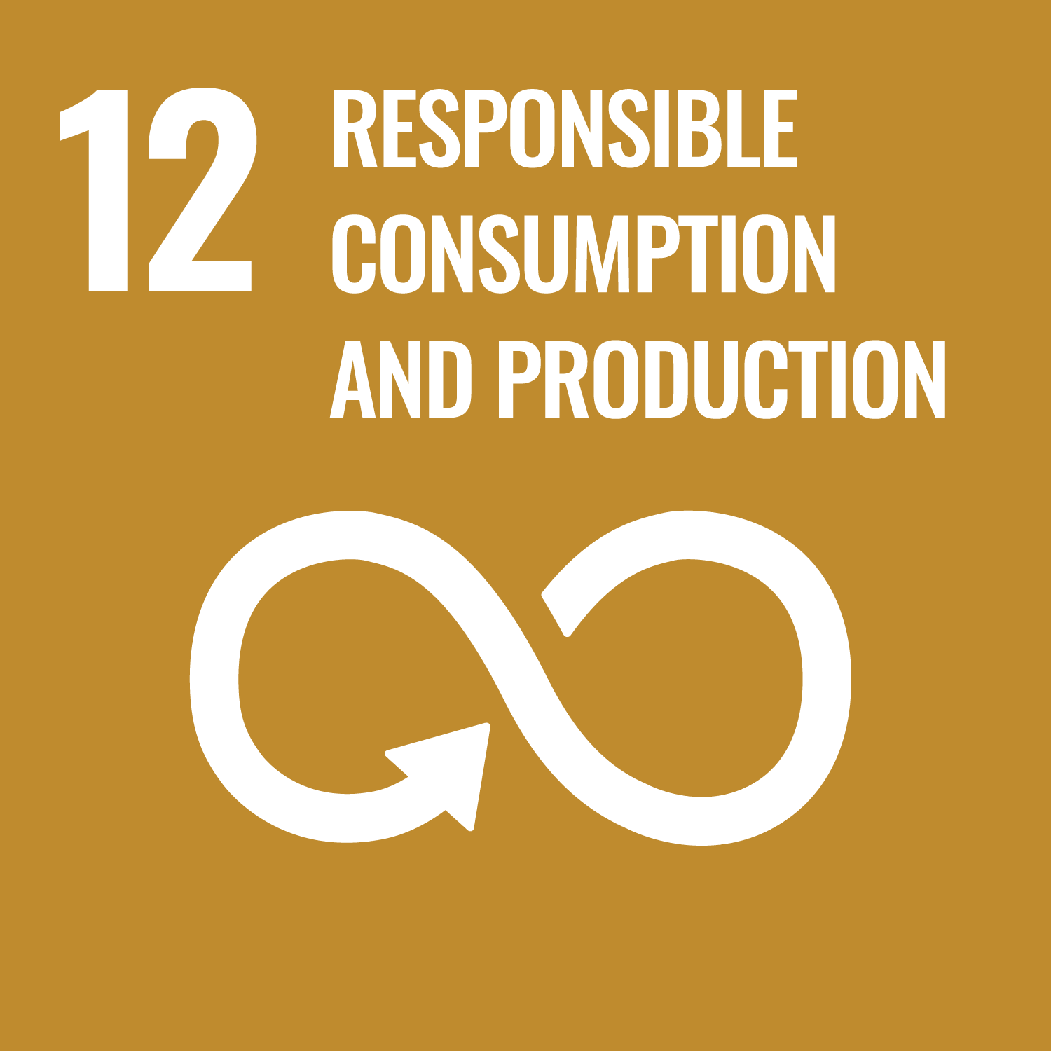UN sustainability goal 12
