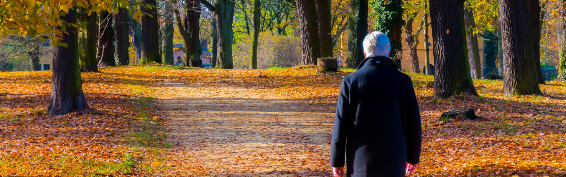 Elderly man with dementia diagnosis walking alone on road in autumn