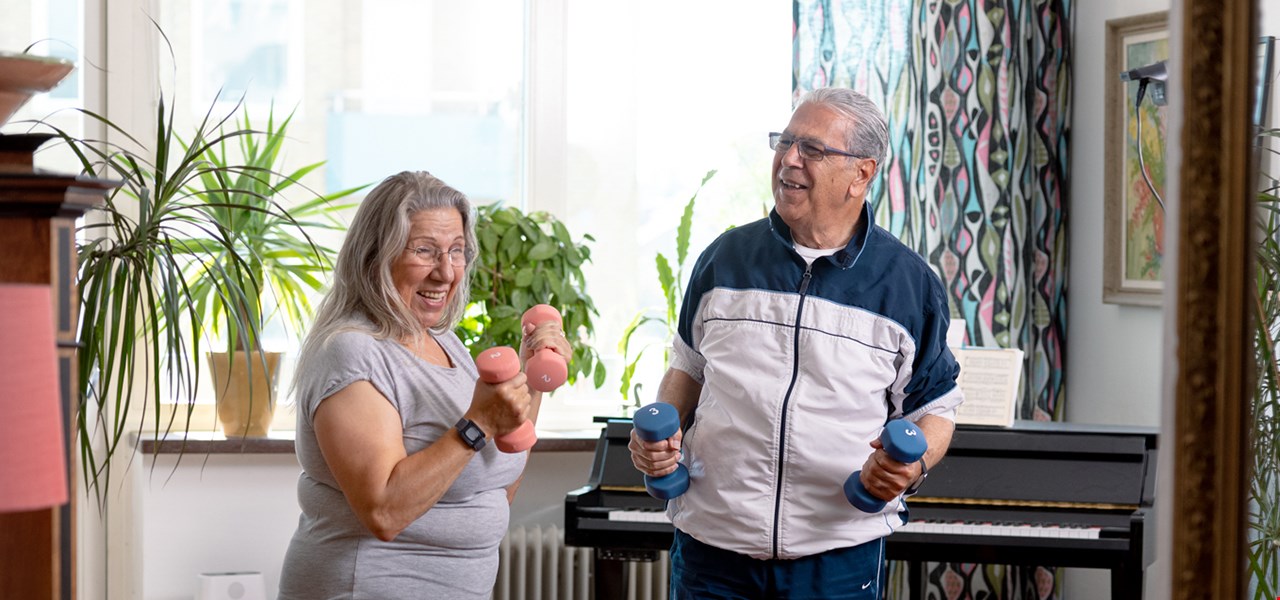 Elderly couple doing workout