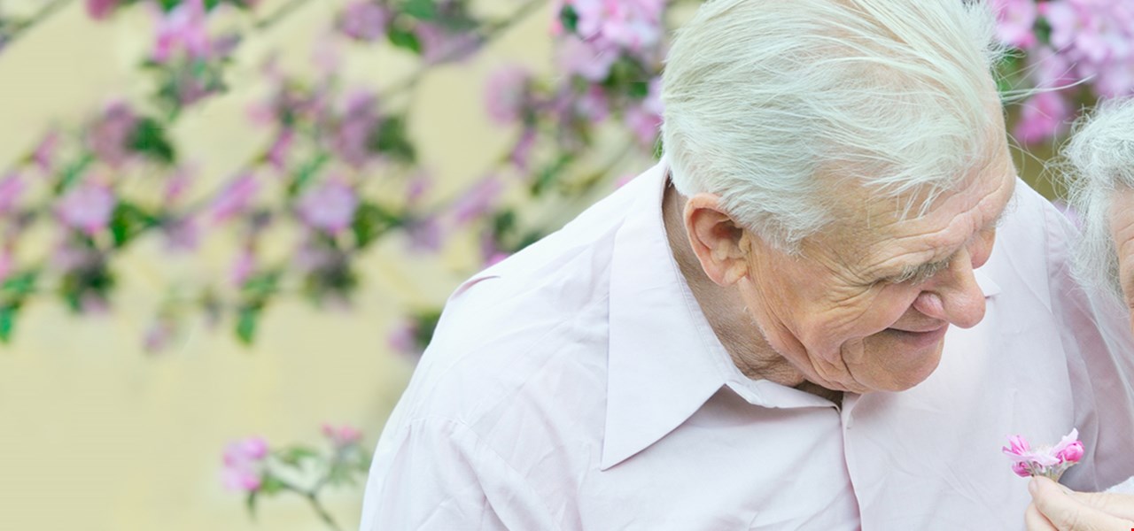 Senior couple smiling with flowers in background